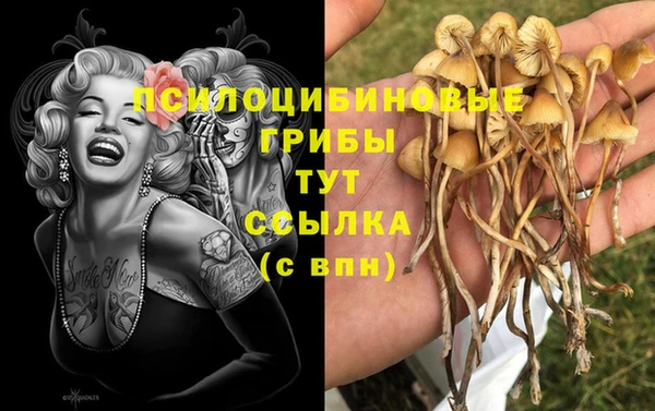 MDMA Premium VHQ Белокуриха